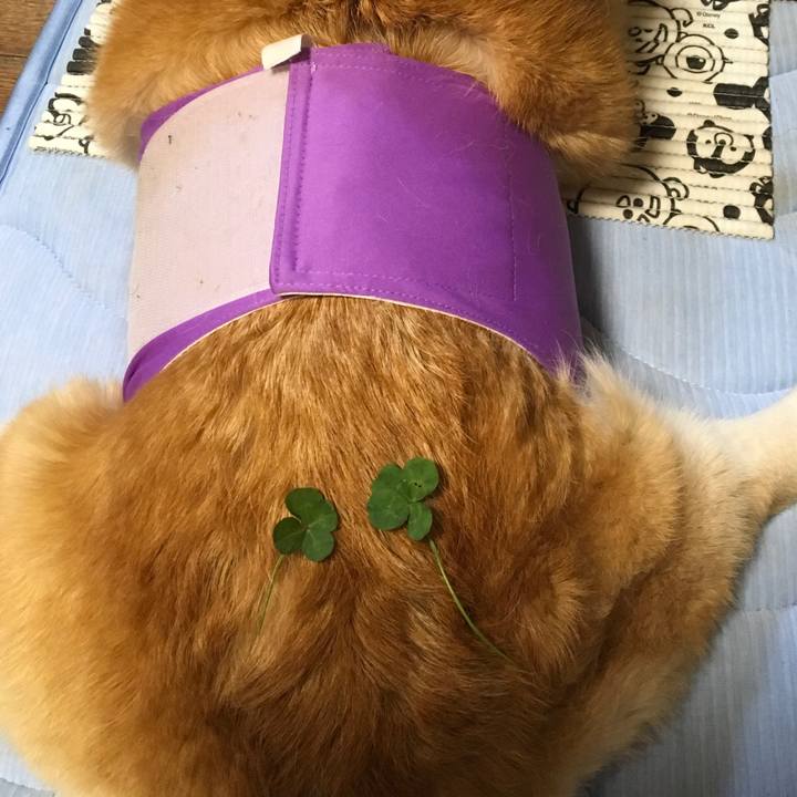 C8cc931d f906 4771 9f65 cfca0b54bf98 1620995537777