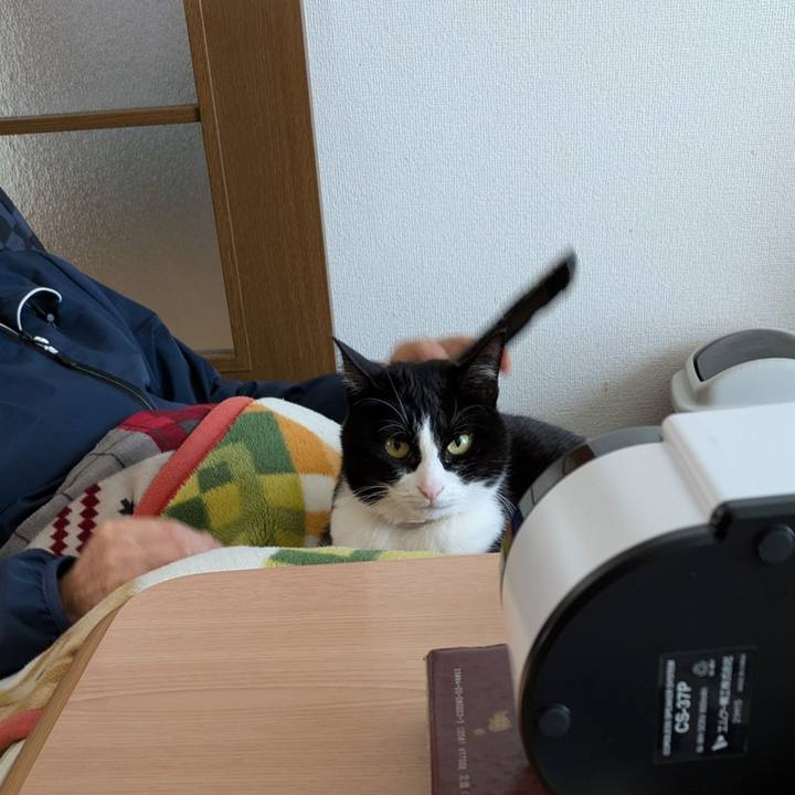 C8ccc908 571d 45ca b881 6dbee8843bc9 1742885085824