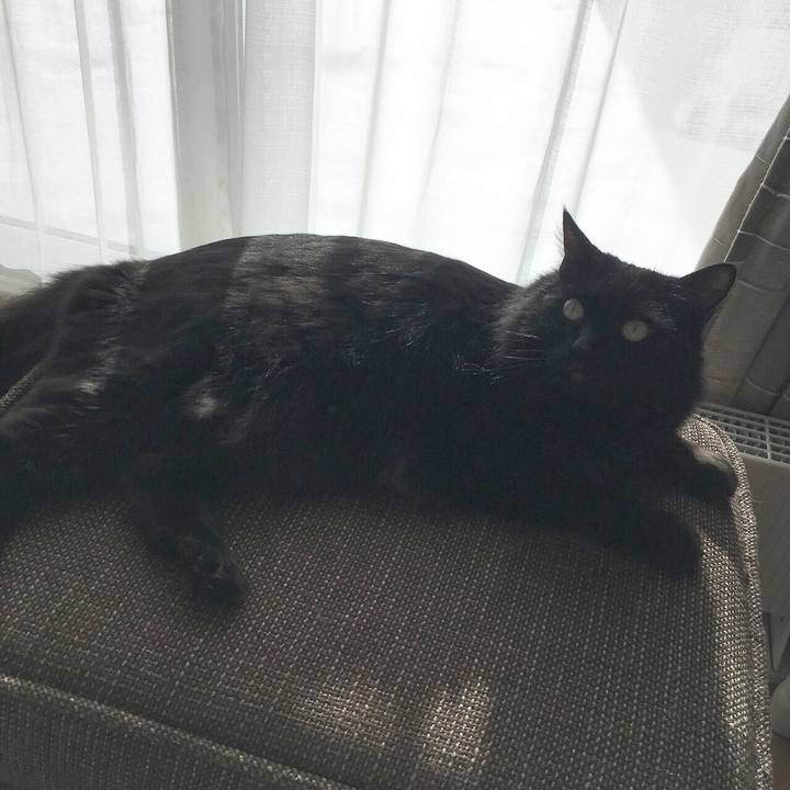 C8ccf249 f96e 4d9f b362 cc932501d01e 1515566103978