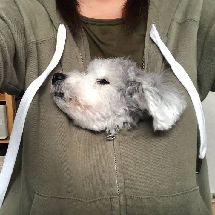 C8cd4738 be81 43eb ab2d 51d8fd047df8 1601087870615