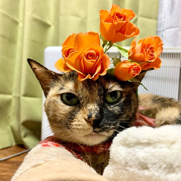 C8cd6f8f f07d 40f3 bbda bcd13a33f67a 1613926974146