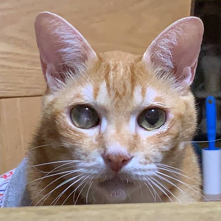 C8cd70ec 771d 4087 b73e 4ce6f675af21 1627559156985