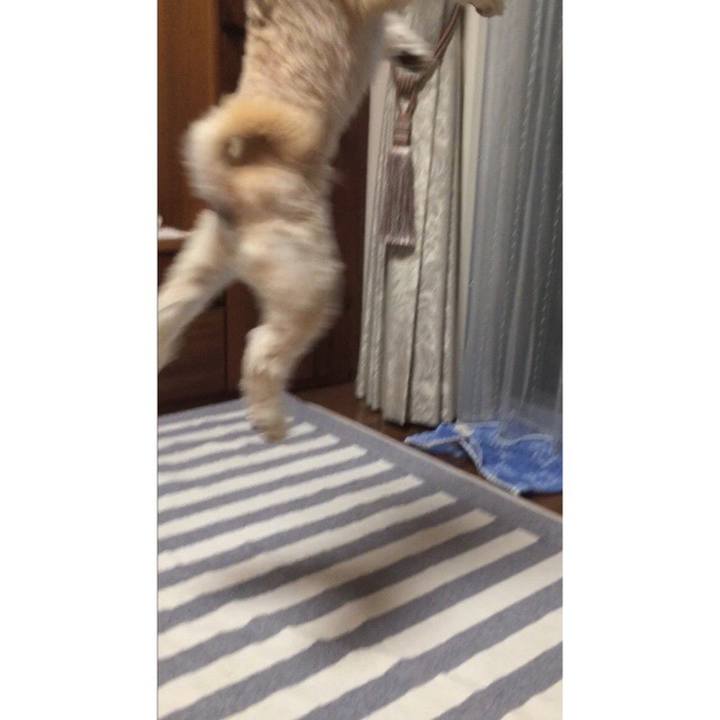 C8cd7ffa ba52 49df a885 964030dc39bc 1565175480621