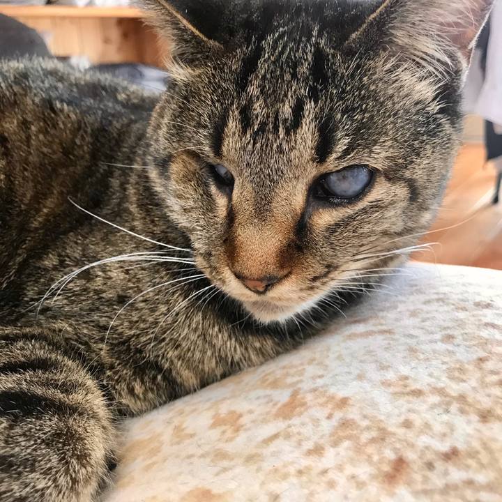 C8cd8281 c947 4369 a63a aa665a3e893e 1582981690878