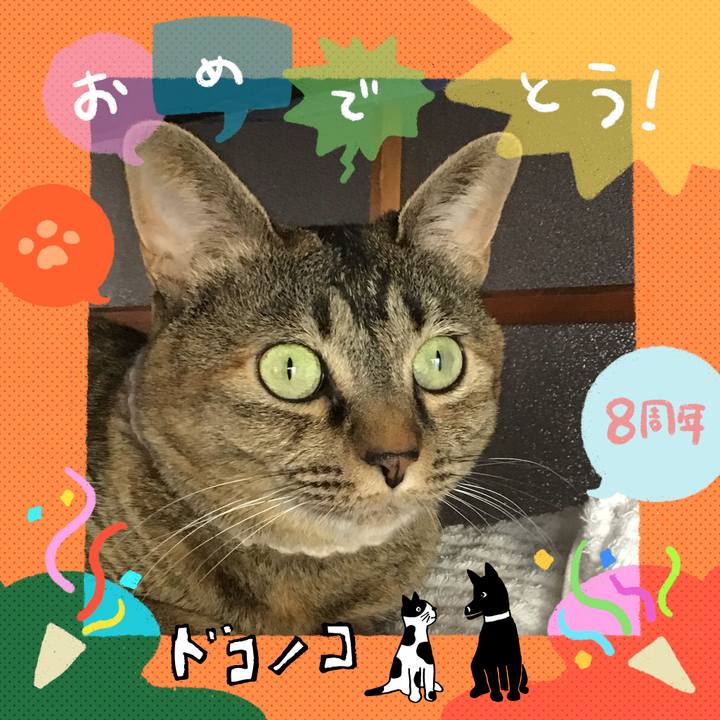 C8cd9e2a f556 4100 b334 1275cbbb30a4 1717578794966