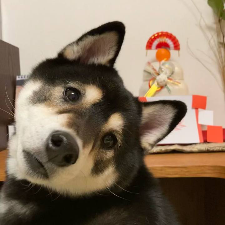 C8cdc509 d730 4b9f a88d 6634d605761b 1609505473298