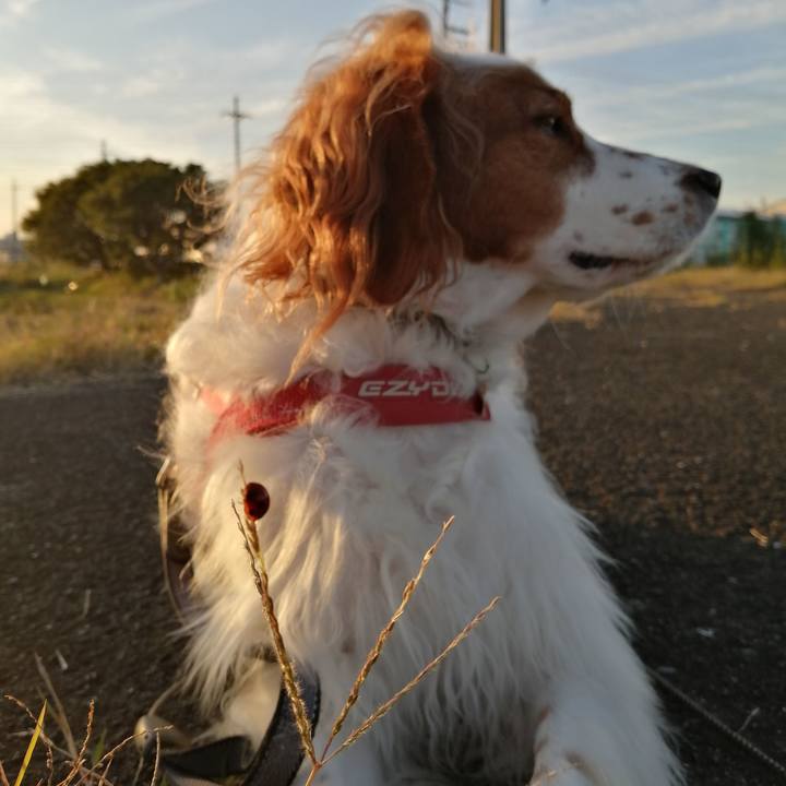 C8cdc8a1 0bd9 4551 b116 85cea28b31cb 1572695886209