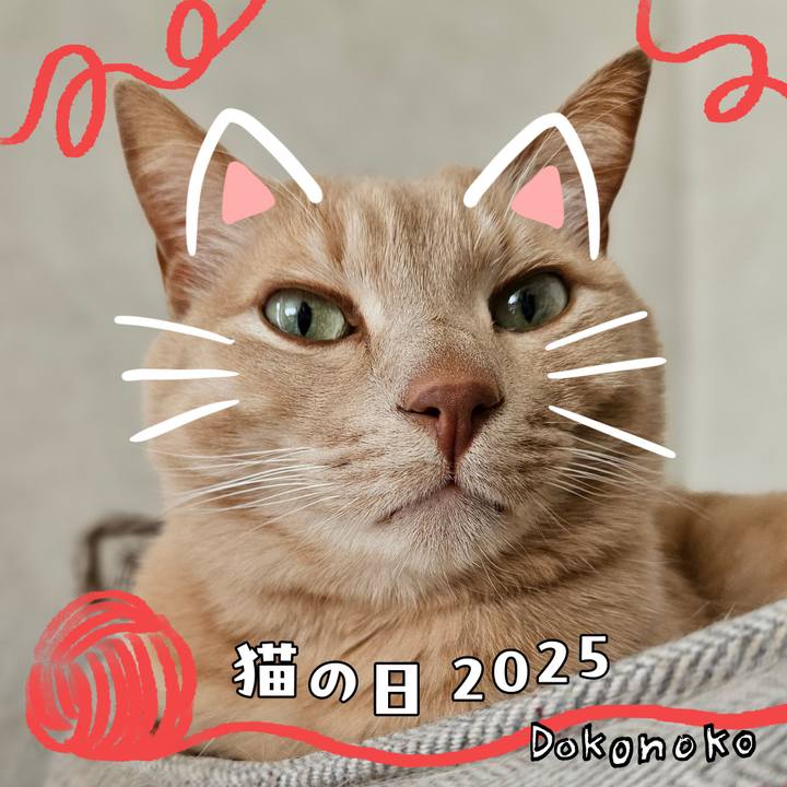 C8ce1ad7 b0ad 4e26 92e7 1ba779f18cfe 1740208626695