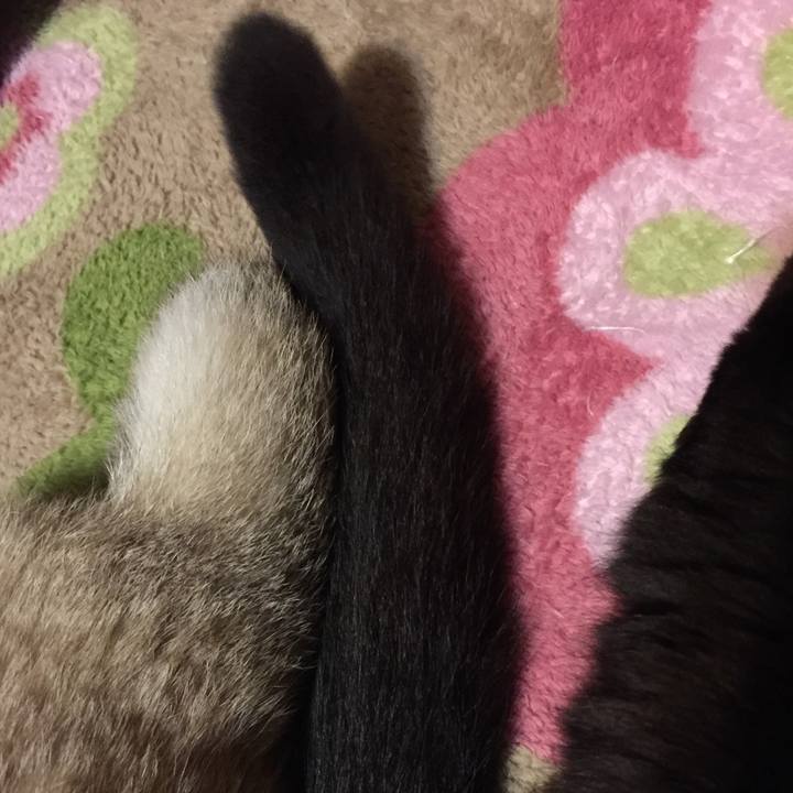 C8ce21a9 ad23 4c34 b569 da0d4da27679 1525003412224