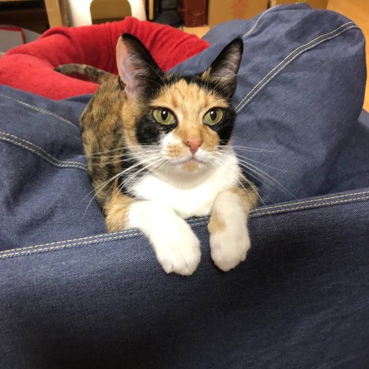 C8ce23ba 9052 4aff b9a0 7f02da9aa484 1527687418551