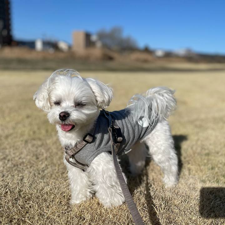 C8ce254b 5785 4471 a70e a350946c361e 1772281101633