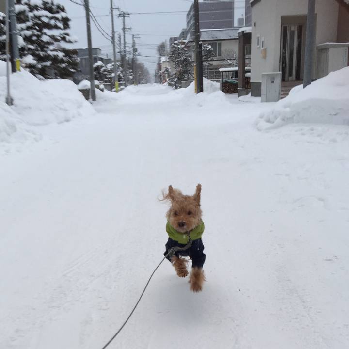 C8ce3c09 5a09 47bc bc54 29a0bcba4c8c 1518562556368