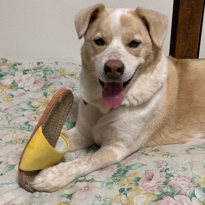 C8ceb3e1 b695 4d6a 87c7 c48c9136837c 1563536407957