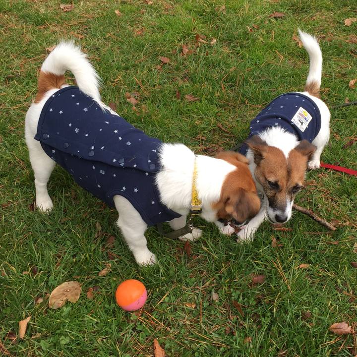 C8ceca21 ec21 4bfd a7a1 cebc1bd46ebe 1509765643346