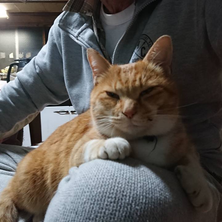 C8cecb35 2e19 499d 84ab 34bf46f2cc81 1605696070772