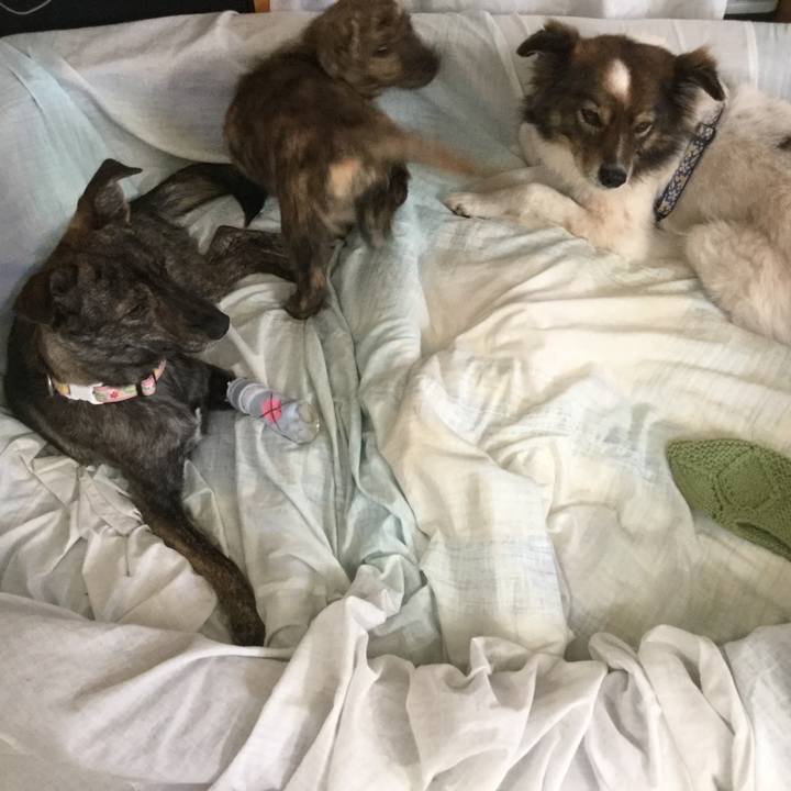 C8ceffea 8234 4138 8767 4f2219fa086c 1545214141584