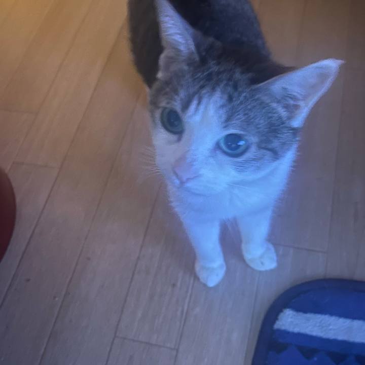 C8cf0397 9319 4098 89e1 dcd95267f770 1626379812967