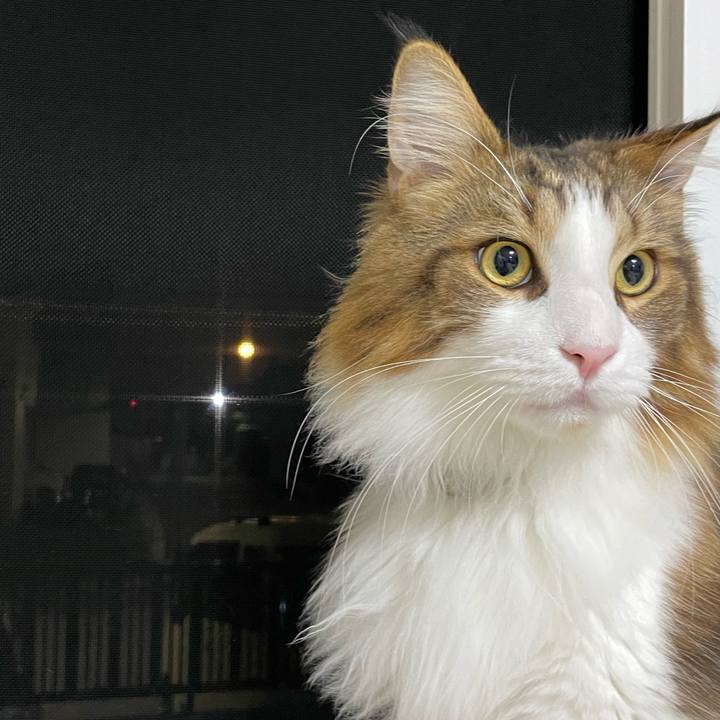 C8cf2343 3ce5 41f6 b25d 6aba9673c8dd 1662750392450