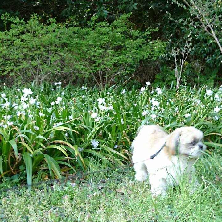 C8cf5541 c749 418d 9a76 9aabd3d6a7d6 1523350131356