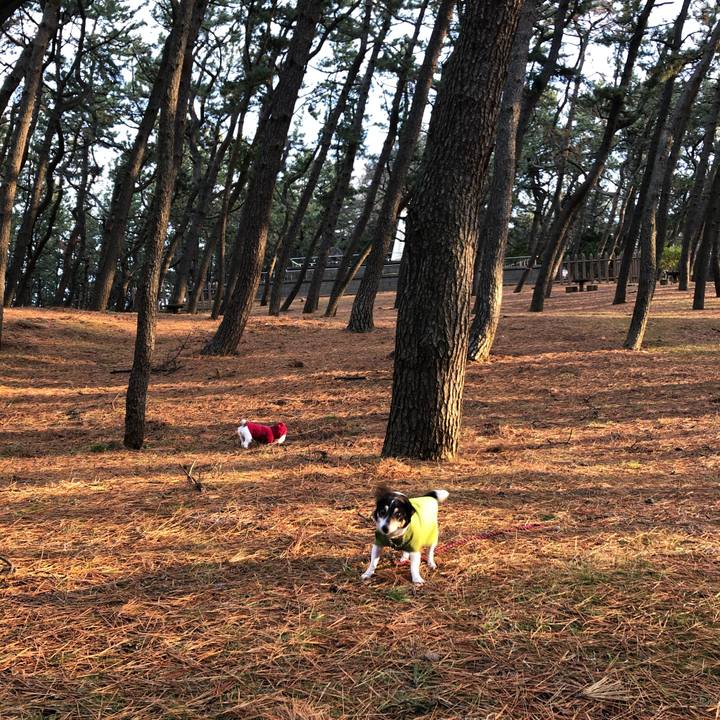 C8cf84a0 f99a 4356 a424 a50f248a19a5 1579564183727