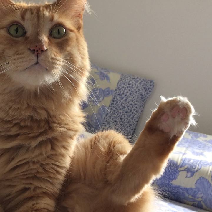 C8cfa137 571e 416a 81e1 4704acbaf35b 1516307465534