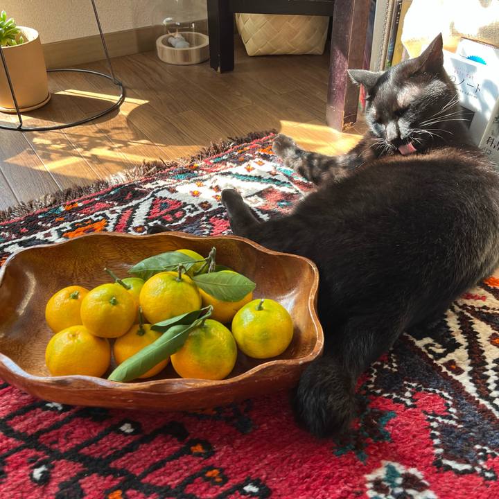 C8cfab37 b5da 4f03 a256 17b77233c397 1698459832566