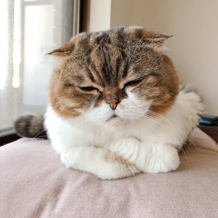 C8cfc509 69c4 44b8 963e e93278a153fe 1566016417747