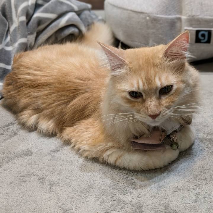 C8d00b1f c75d 41a8 8339 eadeede611ca 1730988167307