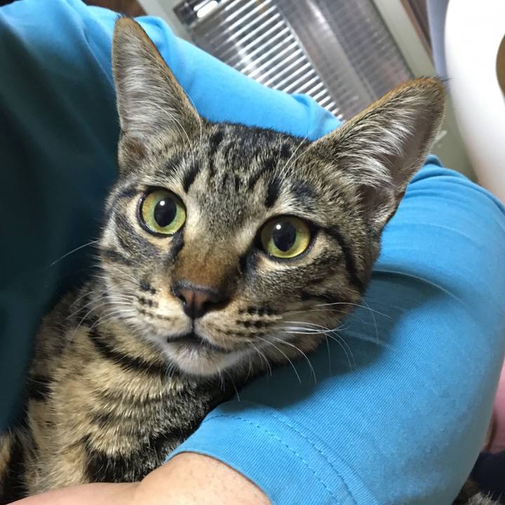 C8d07d57 1704 46e7 96ce bd7ed455b129 1543395391508