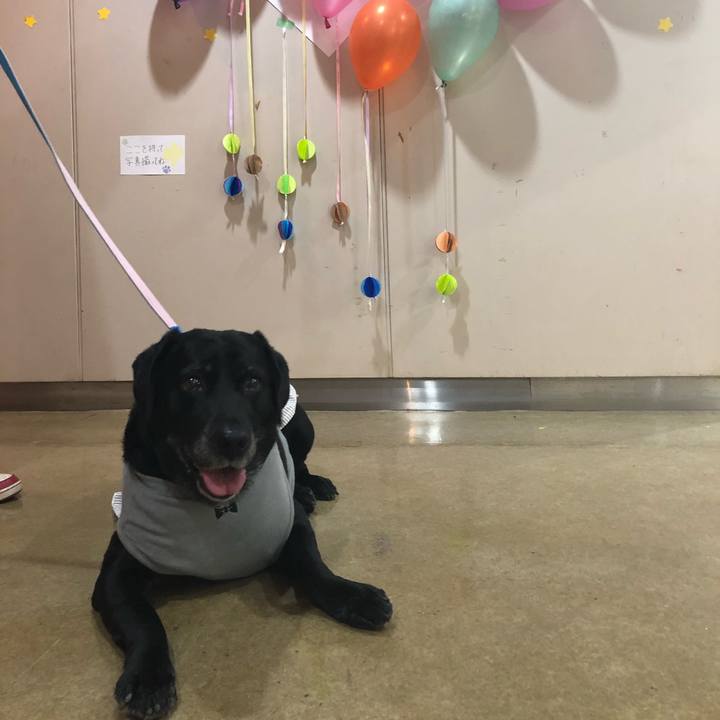 C8d09614 1501 44bd 997d ba662bce5b40 1543040777515