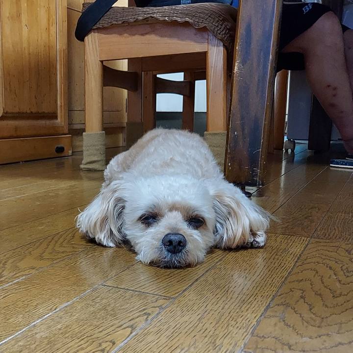 C8d0d8ac f85b 4a7b 83fd 391c6f86e00c 1690279509062