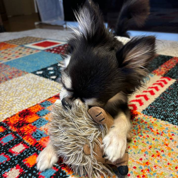 C8d0db0e 8027 4b5a abd7 cf3db82091ce 1725811752052