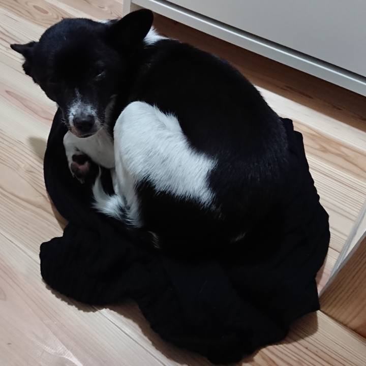 C8d10319 05c5 4d9b 96fa ffe1447e6c38 1575849755092