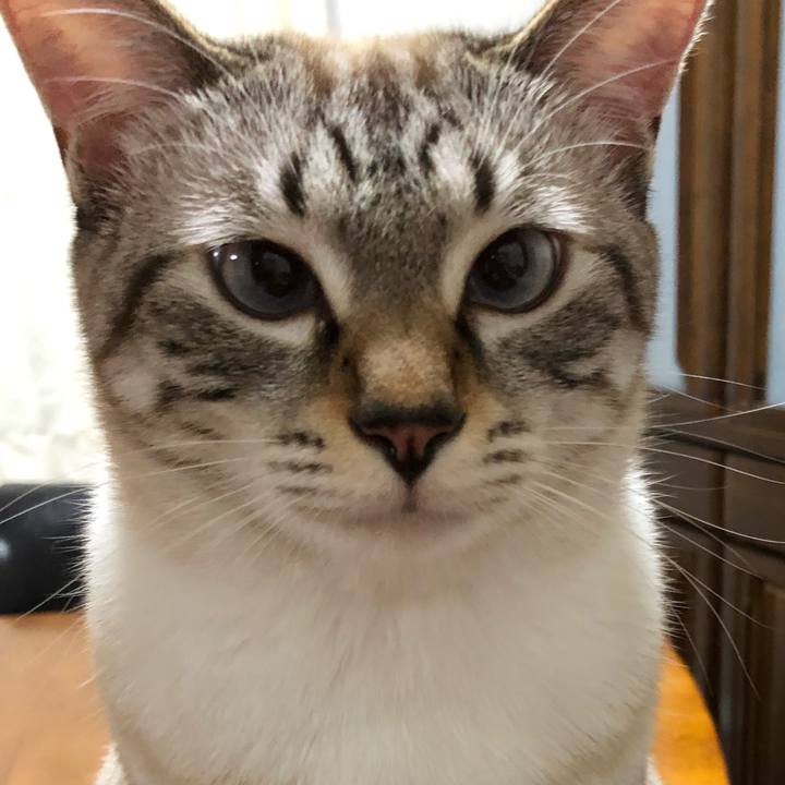 C8d11130 3680 4b26 9d80 68f006cec14a 1627651044232