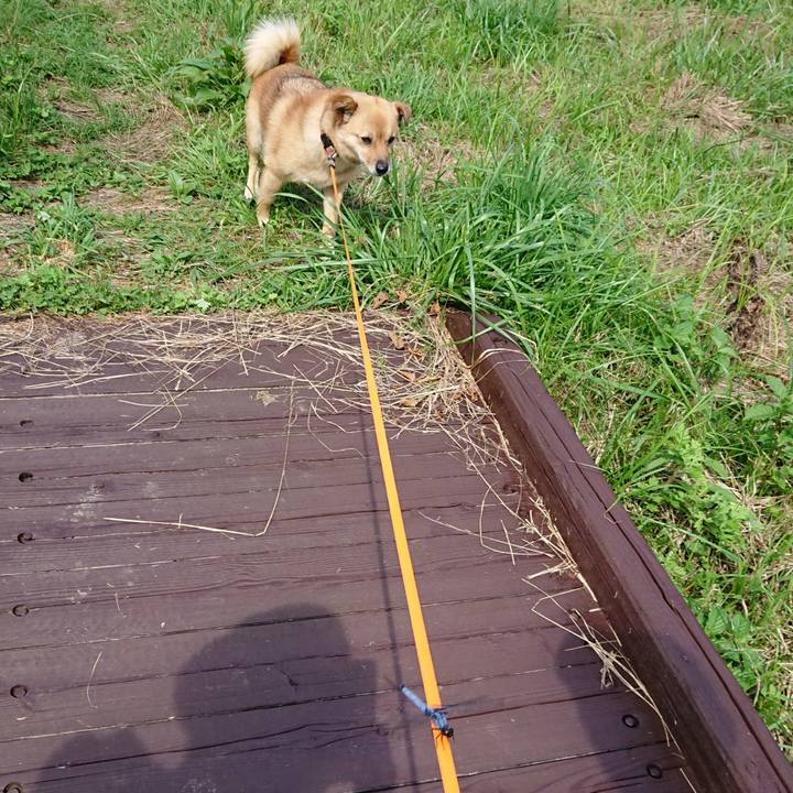 C8d11c7d 4569 48bb 87ba 6fc0fc0ad24c 1627906411232