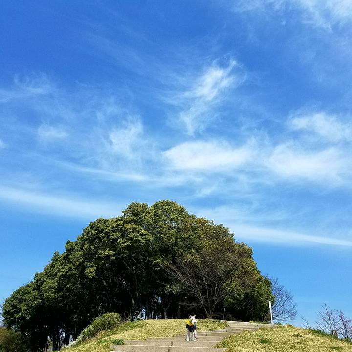 C8d154c7 57cf 44a9 a21d ef0040b68d3b 1521959983211