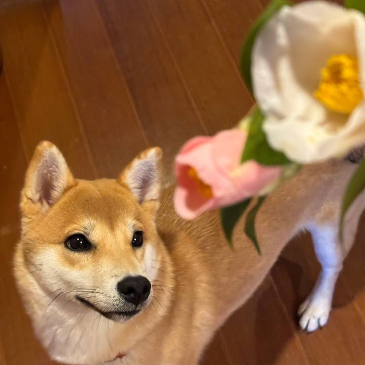 C8d15c67 ba6e 46d0 8468 22eded00862e 1766721924953
