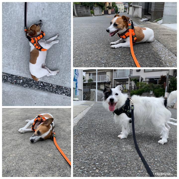 C8d161ec a9e9 4859 8ecd cd1e367cadaf 1566464588227