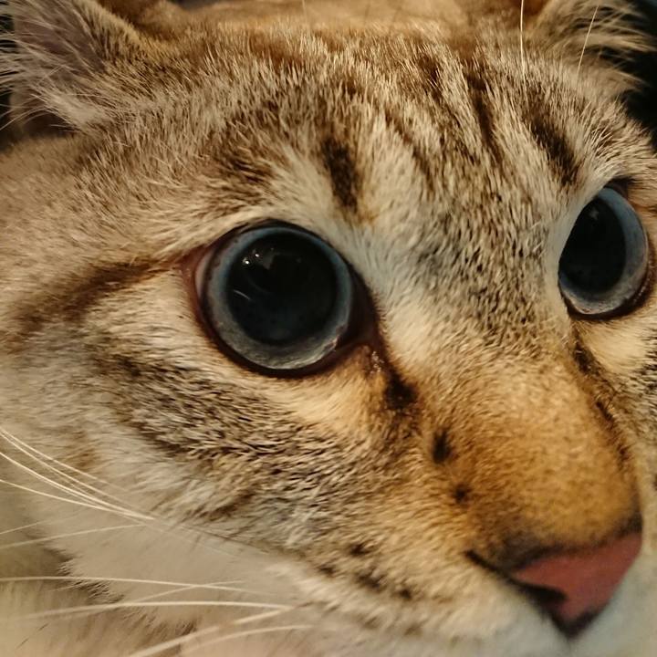 C8d21611 41b8 4a7e 909c b843674a1b49 1518248724979