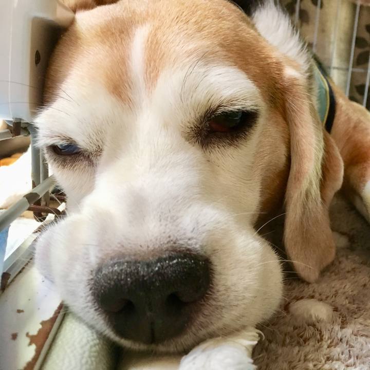 C8d2166b 14f3 40a1 a46c 41bdddbda795 1567741355904