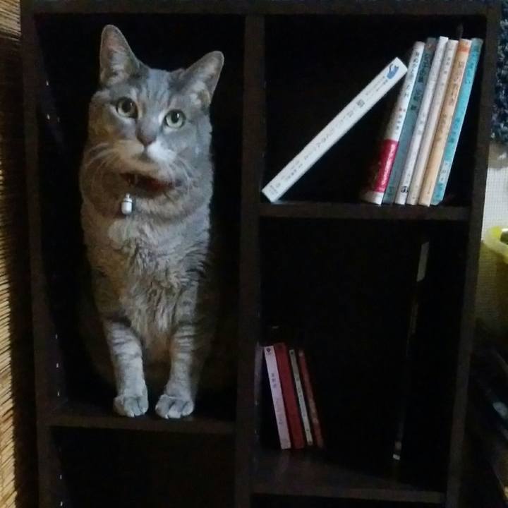 C8d268d0 eb1d 450c 93fe 933c2e57540b 1517757756639