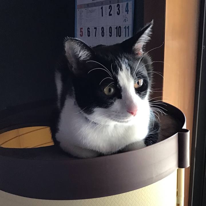 C8d2727a 01e0 4e40 86c6 97790a4c64dc 1639289872845