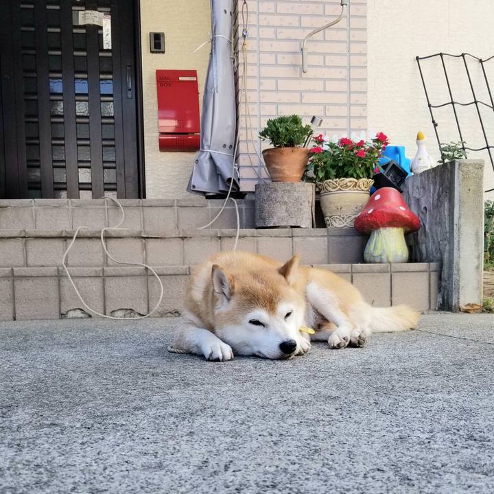 C8d2980f 28f9 43f5 a278 cf7901a320a4 1628296130508