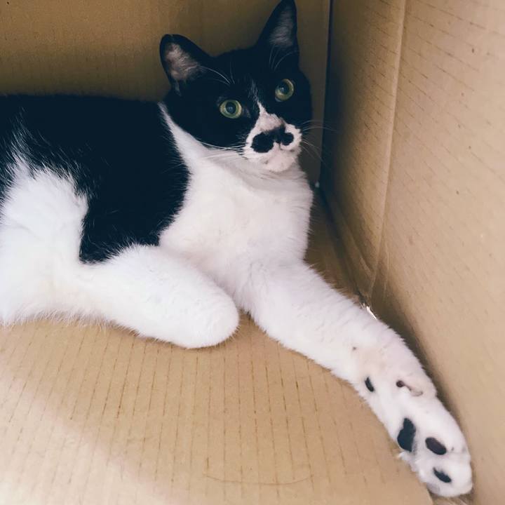 C8d2be22 5b00 46ae 8b18 fd04fc273f40 1693787331204