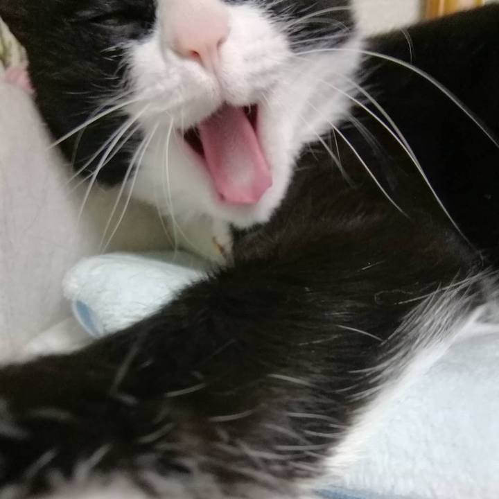 C8d2c2eb 5c0b 47e6 b9bc 14a5163b3258 1554387999313