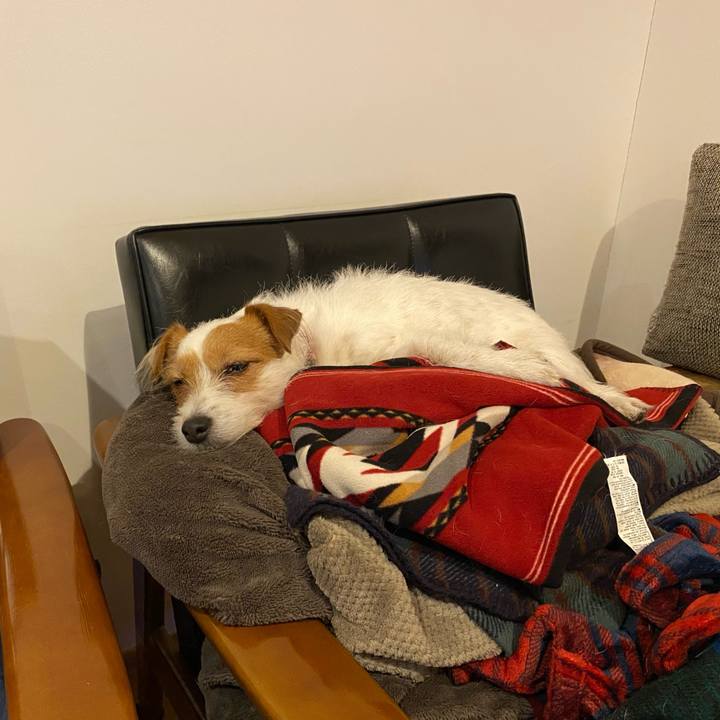 C8d2e593 2d72 449f a988 1006d69b75d0 1581340052904