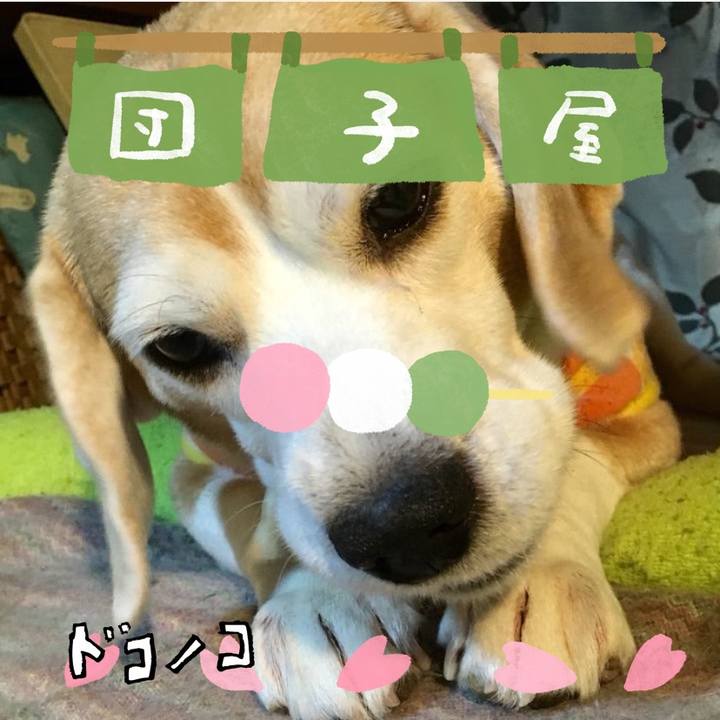 C8d3123b d036 43c7 affc d8d8819b1424 1712203029980