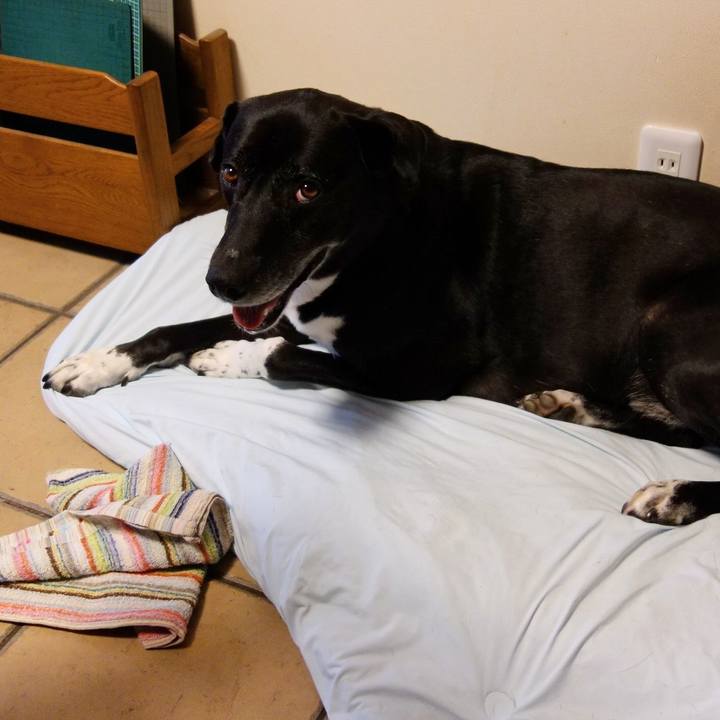 C8d3181d bc63 4857 8fd0 59939d8dc253 1723074062541