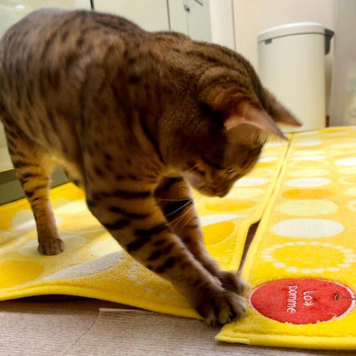 C8d3504c 07e5 48c9 8143 9a897a7353d7 1641449375313