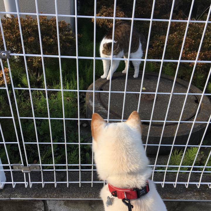 C8d35c0a fd85 4b09 b5d0 80f3c0b146a2 1521707153228